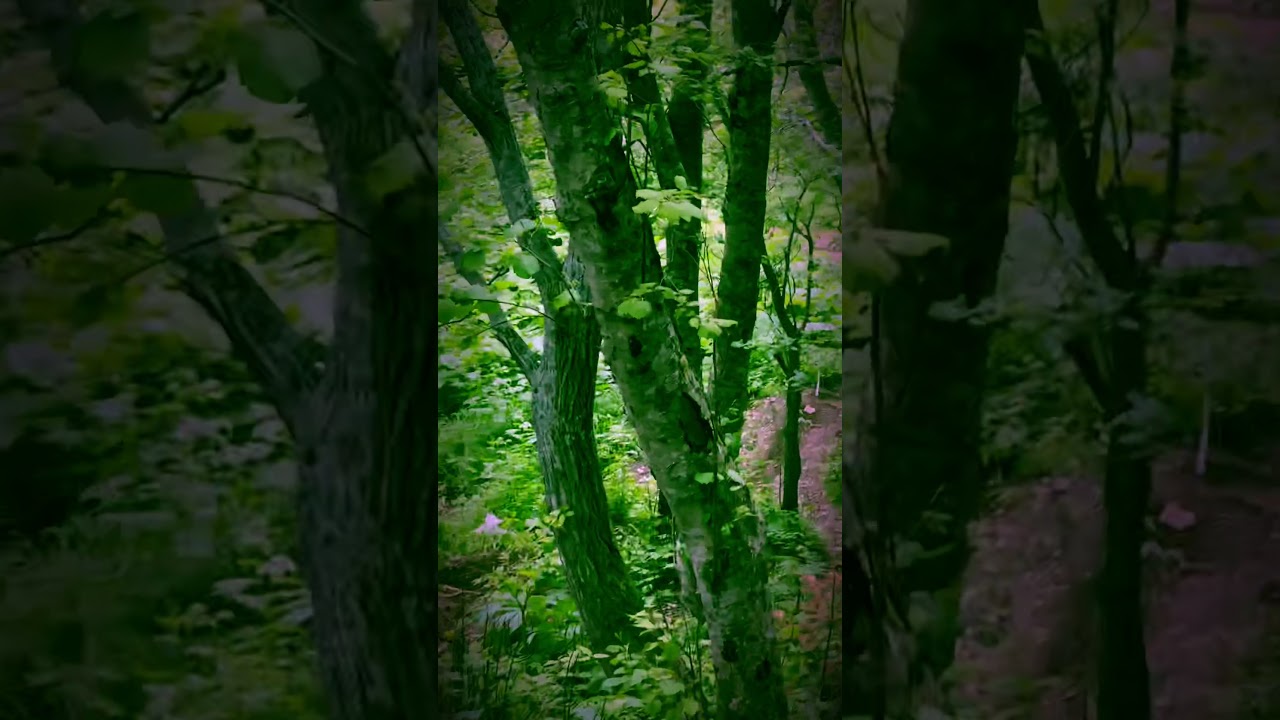 Подъёмчик на Beta 300RR  MY2020