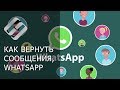 Как восстановить историю чатов, контакты, сообщения и файлы в WhatsApp 💬📁⚕️