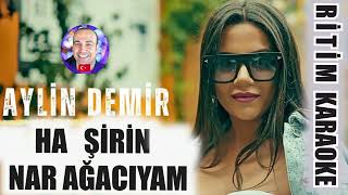 Ha Şirin Nar Ağacıyam - Aylin Demir ✩ Ritim Karaoke Orijinal Trafik (Van Yöresi Düğünü) Resimi