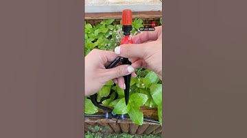 Béc tưới vừa nhỏ giọt vừa phun sương GIÁ RẺ#becphunsuong #becnhogiot