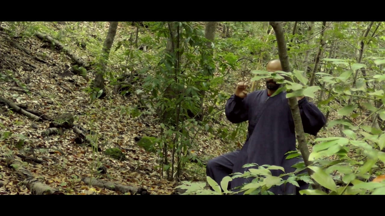 Tigre 虎 Chi Kung 5 animales de Wudang. Gran Canaria.