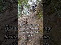 Melintas putri gede pangrango #shorts  #gedepangrango #tanjakansetan  #pendaki #mdadventure #gunung