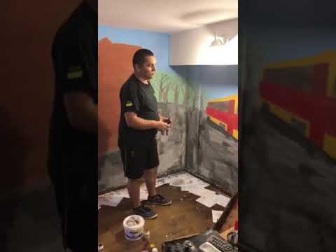 კედლის მოხატვა-paint the walls
