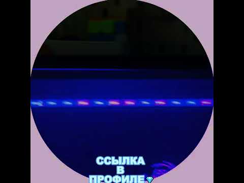 «Казино онлайн: Скачайте игру Jet X и начните зарабатывать деньги сейчас!»