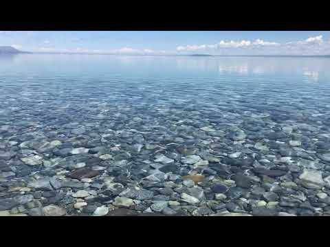 Видео: Байгаль руугаа буцах