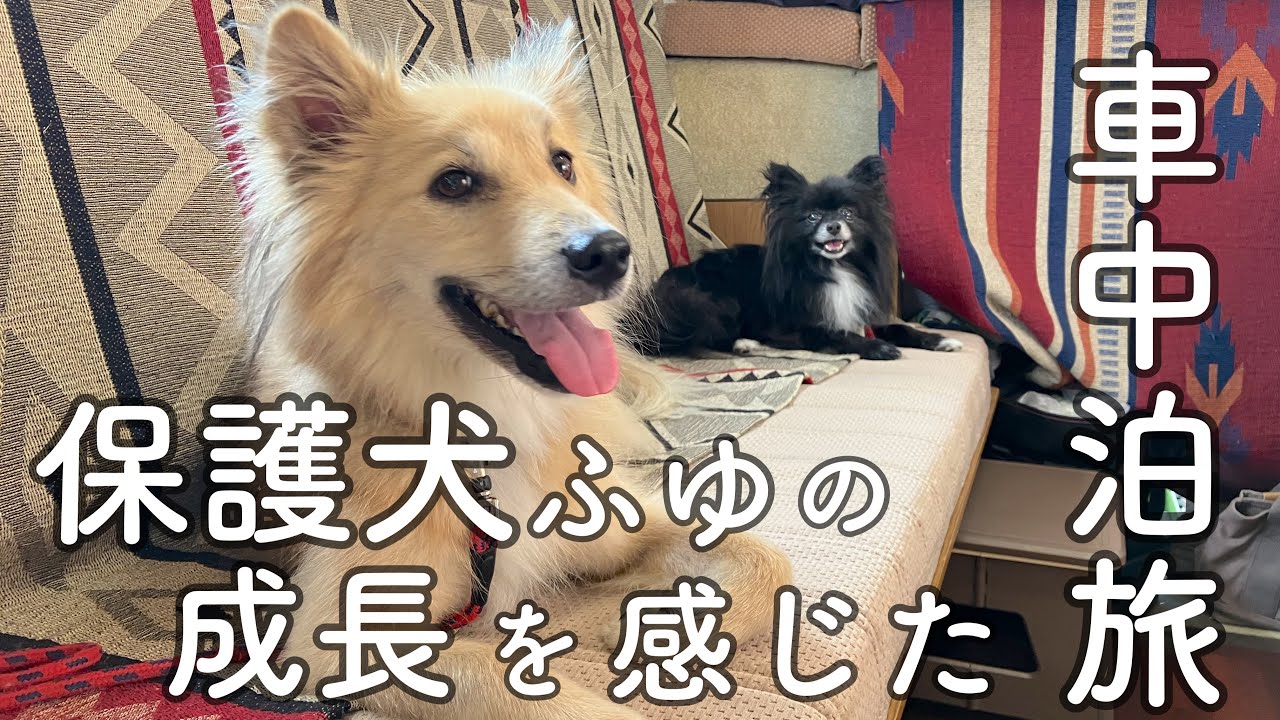 犬と私の北海道・夏、車中泊旅〜然別湖で奇跡のカヤック‼︎ビビりなふゆの成長を感じた嬉しい一日☺️2025我が家の夏休みキャンピングカー旅②
