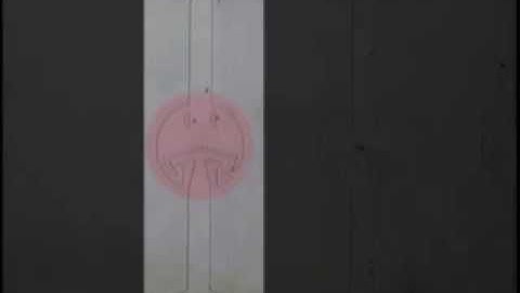 Hydrodynamic Single Cell Capturing