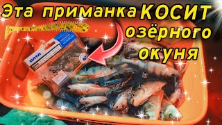 Рыбалка на спиннинг ультралайт! Эта приманка КОСИТ озёрного окуня..!