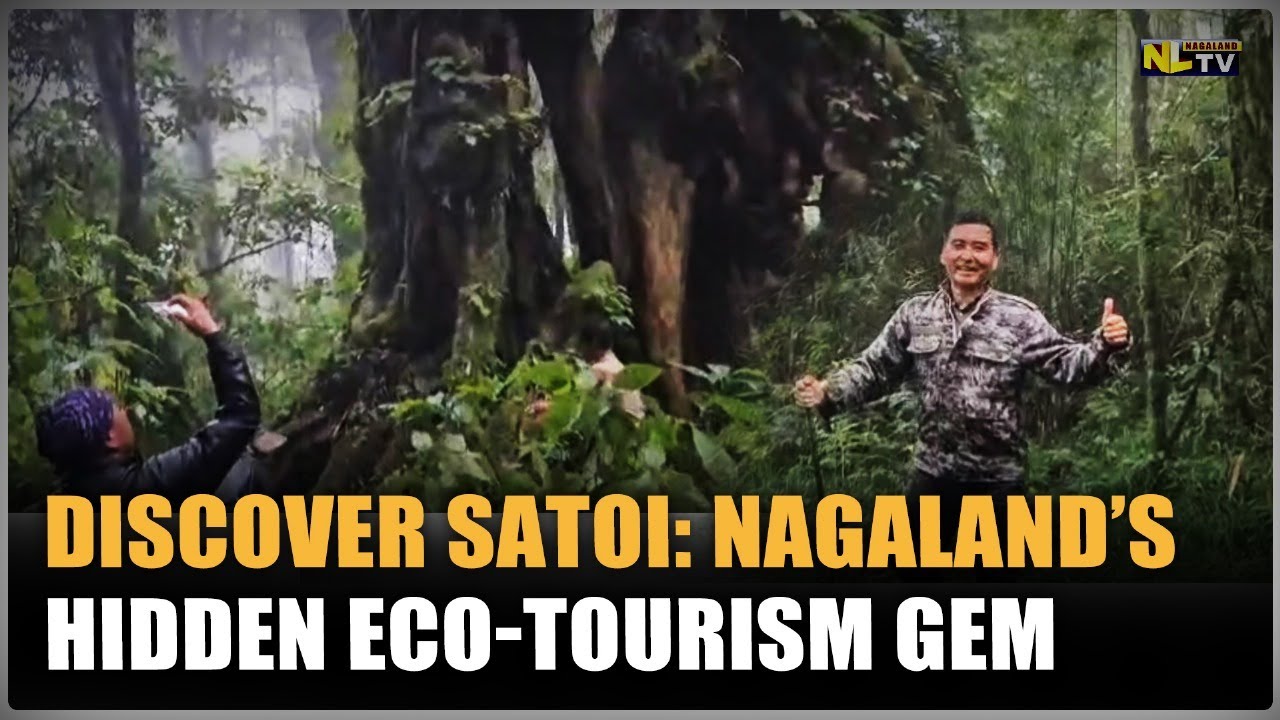 ОТКРОЙТЕ ДЛЯ СЕБЯ САТОИ: СКРЫТУЮ ЖЕМЧУЖИНУ ЭКОТУРИЗМА НАГАЛЕНДА