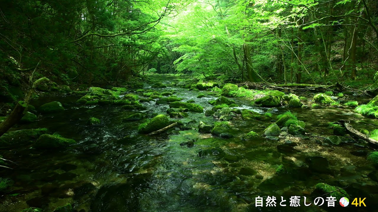 【自然の音】緑の季節と川のせせらぎ、癒し、睡眠、リラックス、作業用BGM【3時間】 - YouTube