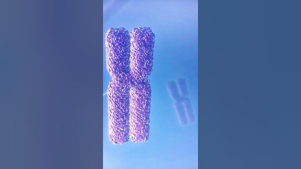 An overview of central dogma youtube