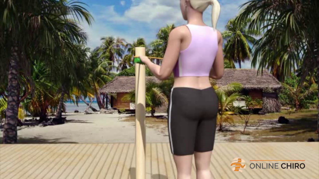 Back Workouts - Exercise Videos - YouTube