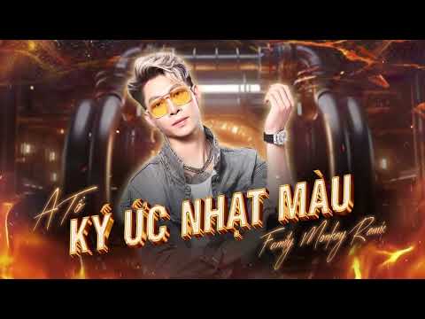 KÝ ỨC NHẠT MÀU REMIX - A TỔ | NHẠC HOA LỜI VIỆT REMIX | Người Đã Ra Đi Xa Em Bao Ngày Remix