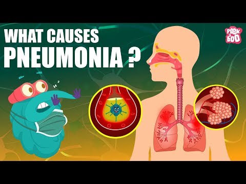 Video: Bagaimanakah personifikasi mr. pneumonia?