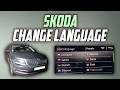 Skoda change language - Full Guide