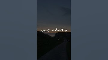 وَإِذْ نَجَّيْنَاكُم مِّنْ آلِ فِرْعَوْنَ || سورة البقرة #علاء_عقل 🤍🌱