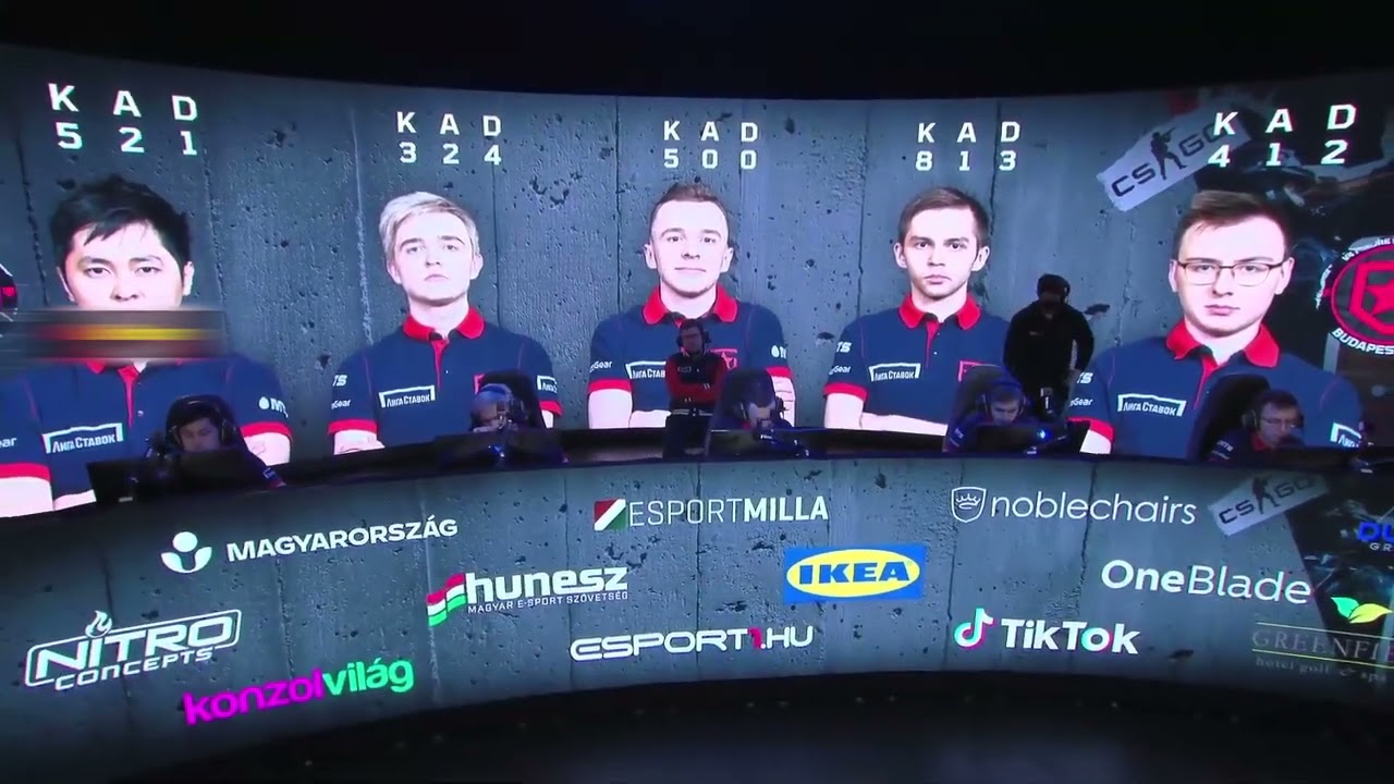 тренер гамбит  ребят не тупим плз