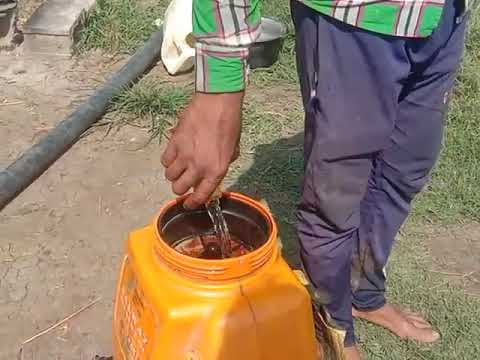 Demonstration of Anika and Shado Gold on Farmer field - video from Heranba