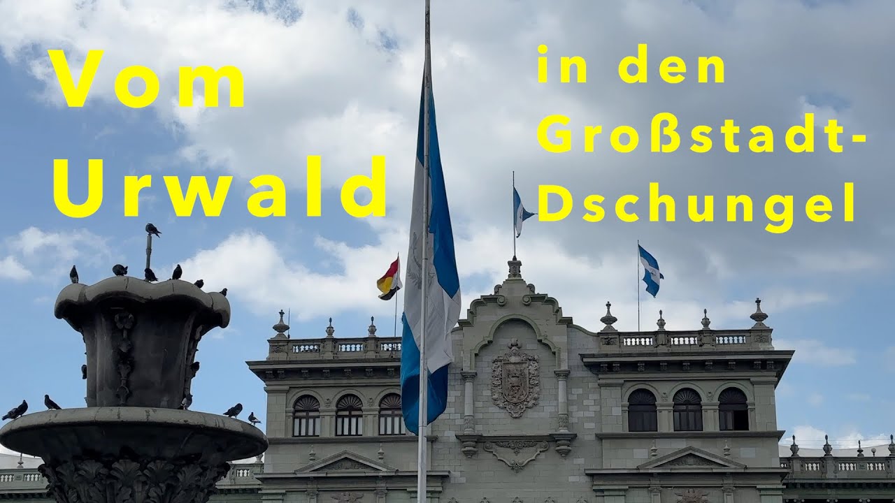 Aus dem Urwald in den Großstadtdschungel