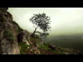The Mountain Place of Knowledge Book Trailer