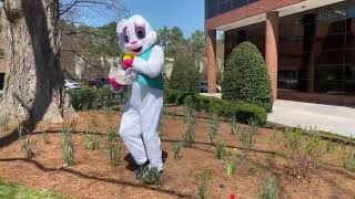 Clark Team Easter Egg Hunt