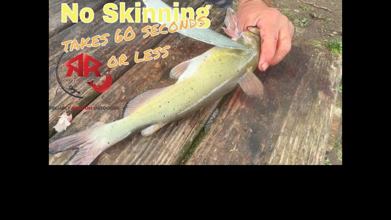 How to Clean a Catfish in just 2 steps YouTube