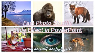 fast photo shuffle effect - in PowerPoint - تأثير انزلاق الصور العشوائي السريع في