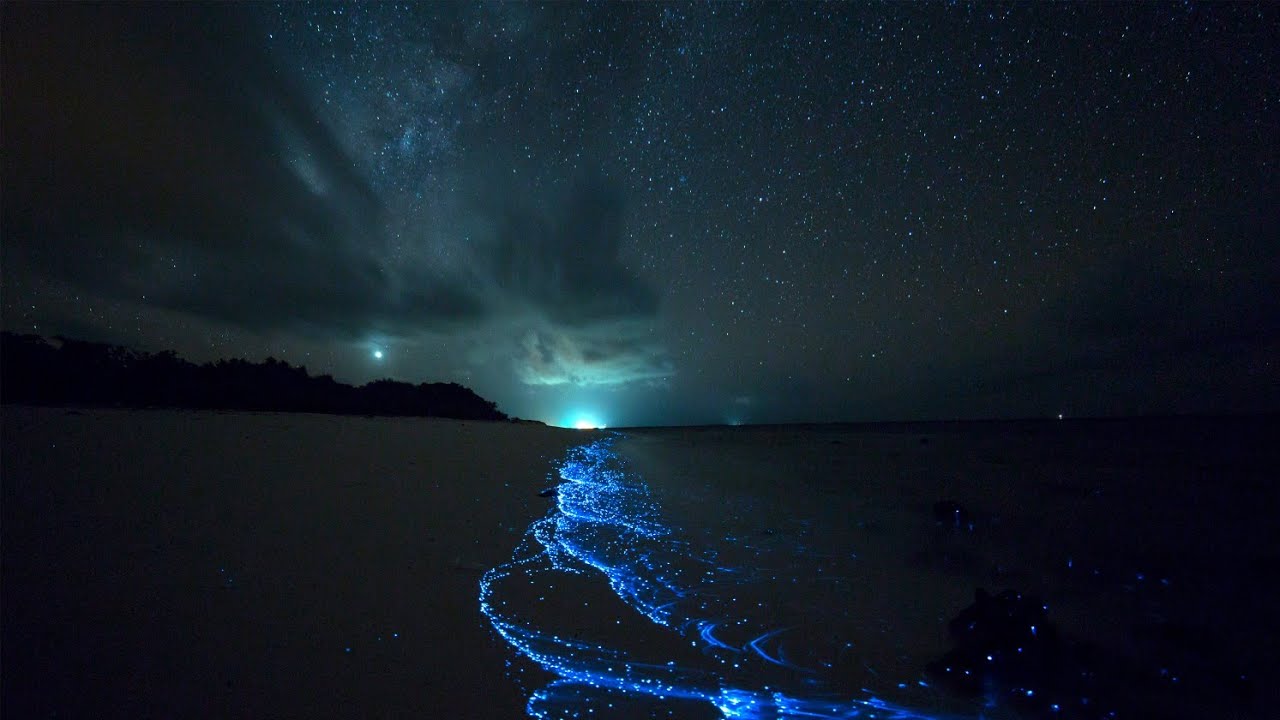 The Sea of Stars on Vaadhoo Island, Maldives