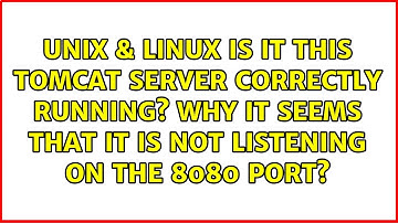 Is it this Tomcat server correctly running? Why it seems that it is not listening on the 8080 port?