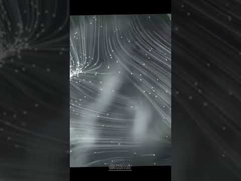 بالفصحى يساء فهمك بين الناس احيانا