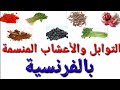 أسماء جميع أنواع الأعشاب المنسمة والتوابل بالفرنسية - plantes aromatiques et épices en arabe