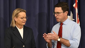 ‘There’s a cheaper way’: Littleproud sends ‘strong signals’ to Labor’s $9 trillion energy plan