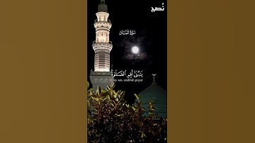 مقطتف من سورة لقمان آيات الحث على الصلاة @نُصح #nush_short