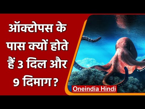 वीडियो: प्रवेश कब हुए थे?