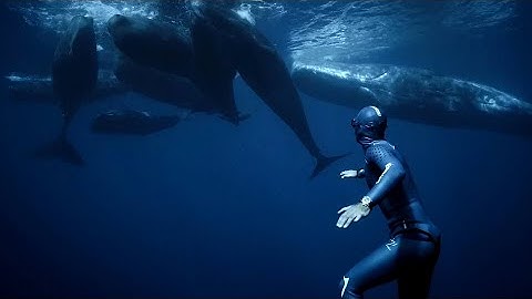 Divers React to MIND-BLOWING freediving video