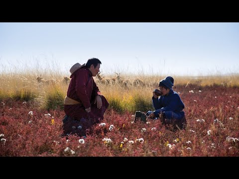 LES RACINES DU MONDE (Official Trailer VO/français) VOSTF