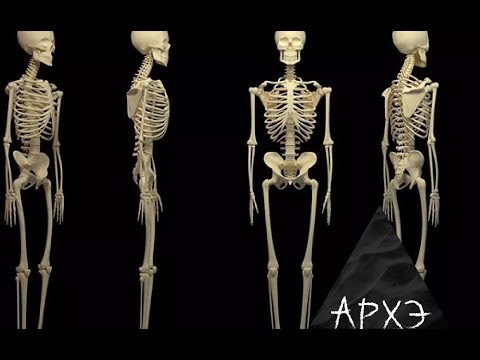 Video: Anatomija Energije čovjeka - Alternativni Pogled