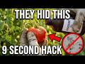 9 Methods Hydrogen Peroxide Saves Your Garden That Gardeners Keep Secret
