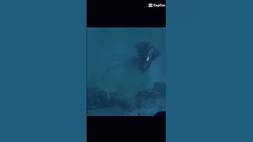 The Deadliest Queen. #viralvideo #edit #predator #alienvspredator #alien #xenomorph #aliens