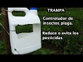 Trampa para insectos // Uso de las feromonas  en la agricultura