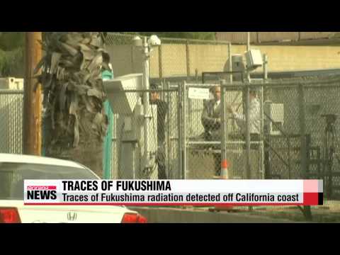 Traces of Fukushima radiation detected off California coast
미국서 후쿠시마 원전사고 유출 세