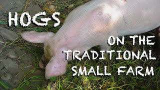 The Hog of the American Farm Past - The FHC Show, ep 41