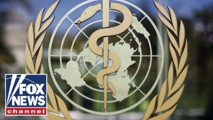 What Is The World Health Organization S Global Pandemic Agreement