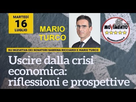 Convegno Senato - 16 luglio 2019 - Mario Turco