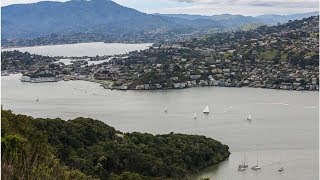 Mexican tycoon arrested when boat kills son by San Francisco - SFGate