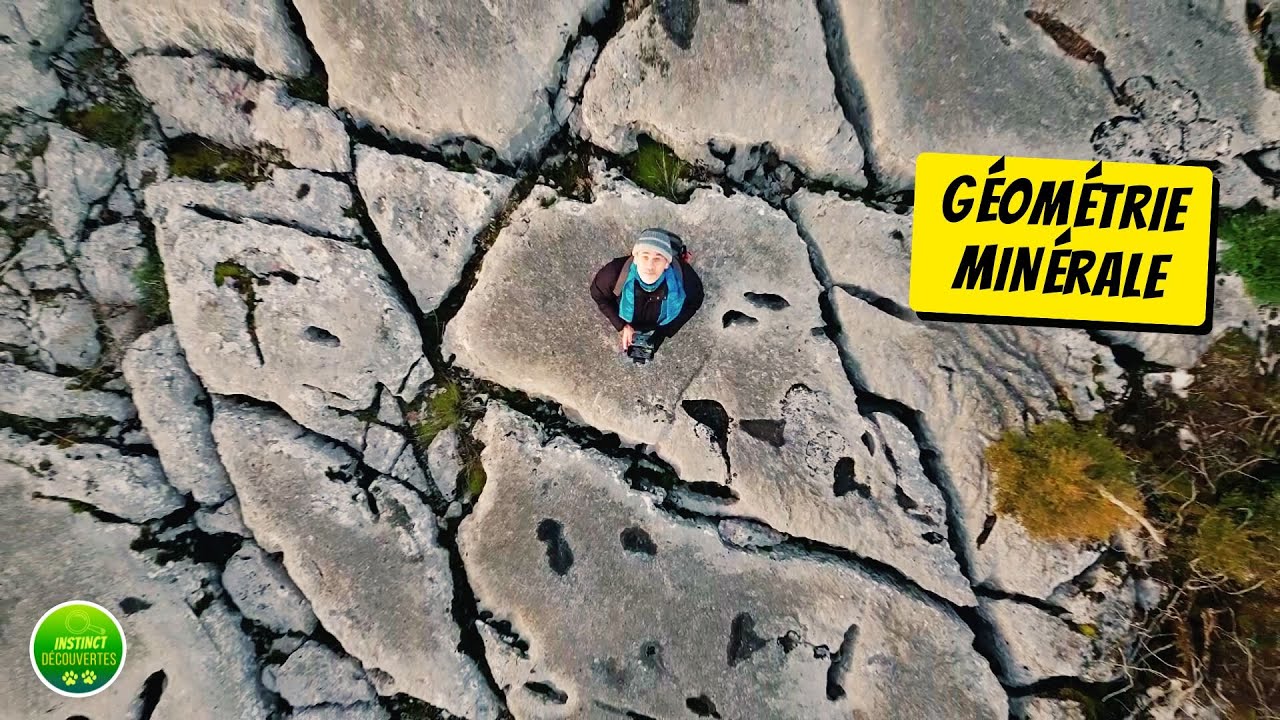 Ain | Une mosaïque naturelle ? | Instinct Découvertes