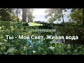 Стихотворение &quot;Ты - Мой Свет, Живая вода!&quot;, автор Ольга Людвик