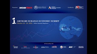 1St Amchams Eurasian Economic Summit - Summary