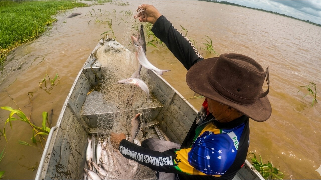 Mapara PESCARIA DE MAPARA COM TARRAFA NO RIO AMAZONAS! - YouTube