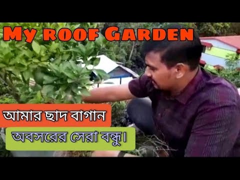 ভিডিও: আমরা আকমেলা বাগান করি